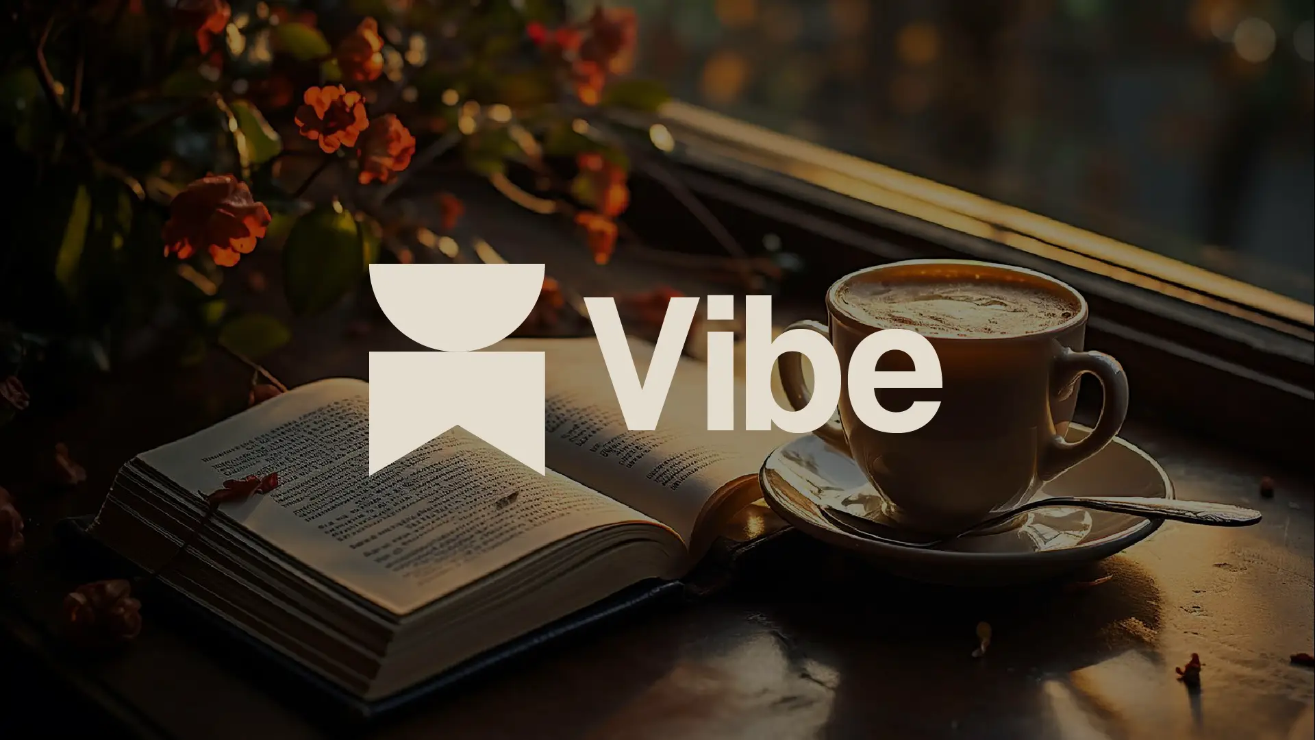 Vibe – Brand Identity